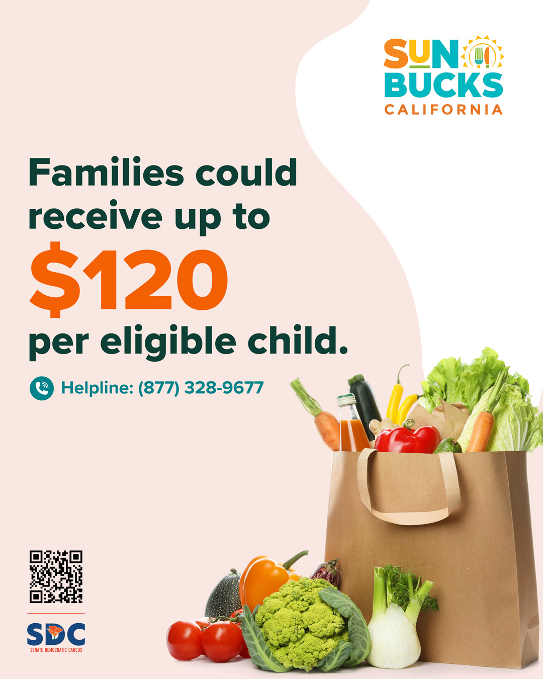 Sun Bucks Flyer